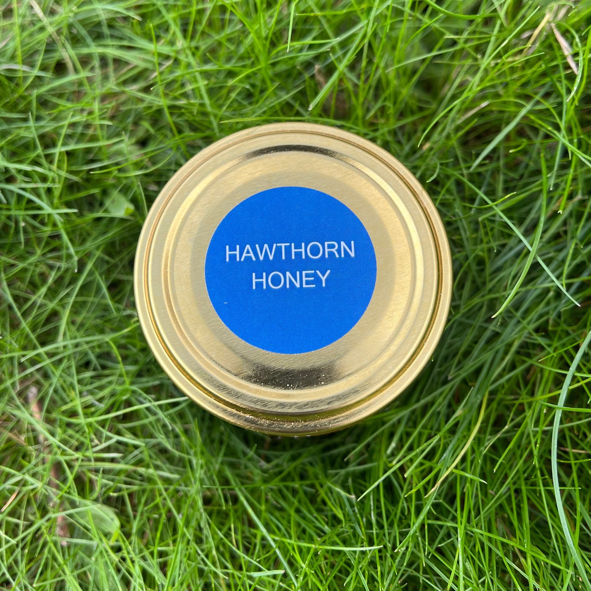 Limited Edition - Hawthorn Honey 227G