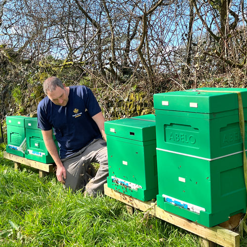 Contact North Devon Queens