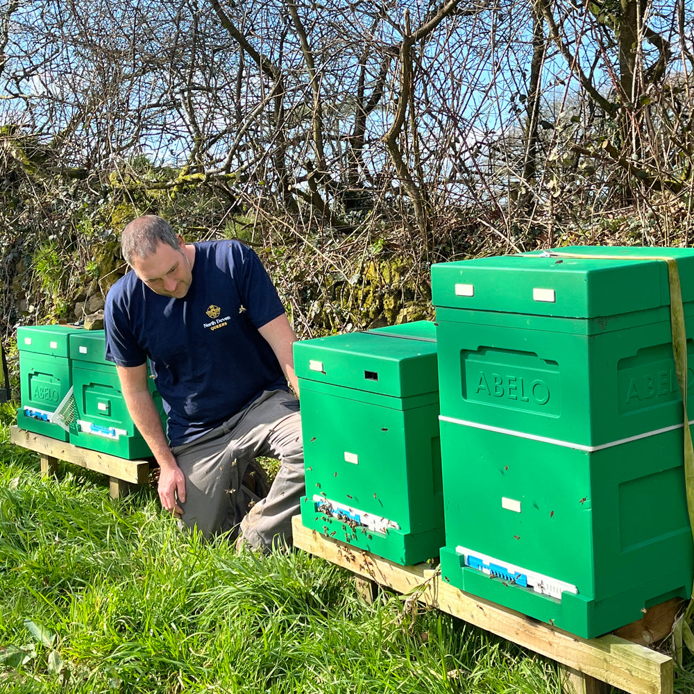 Contact North Devon Queens