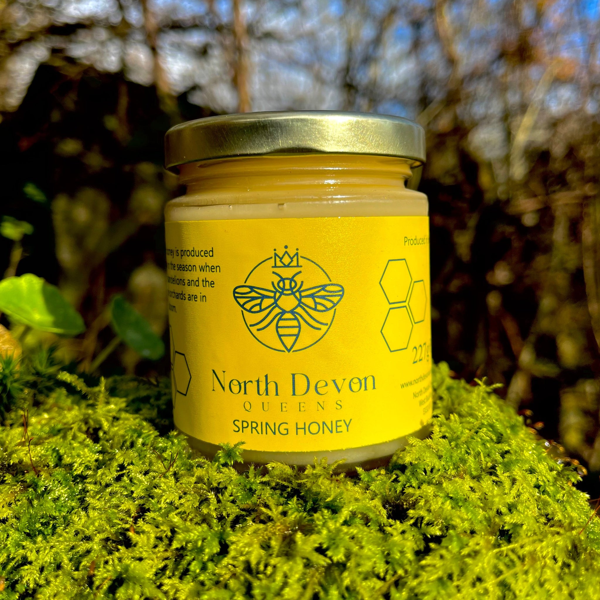 Springhuney Devon Spring Honey 227g – North Devon Queens